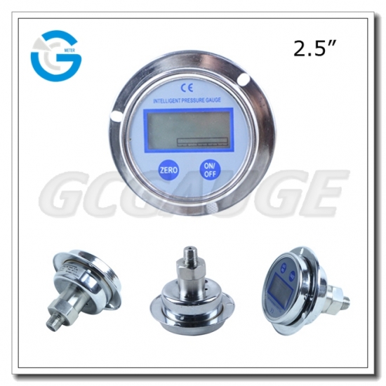 vacuum gauges with flange