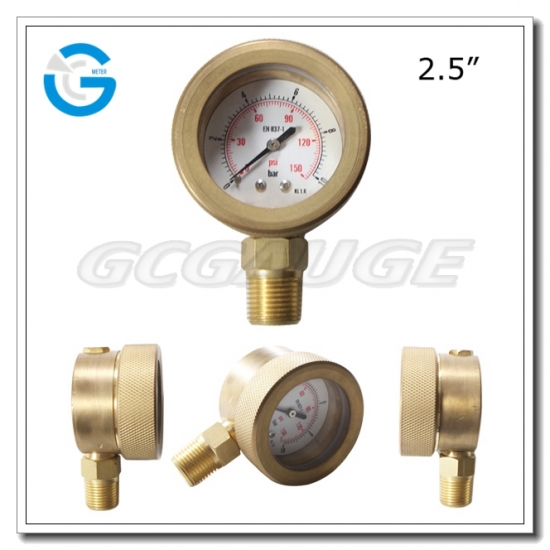 subsea pressure gauges
