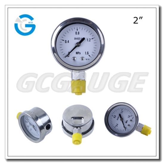 Stainelss steel pressure gauges